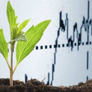 Agricultural Economics