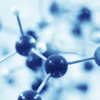Molecular Biology