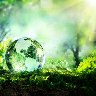 Environmental Science